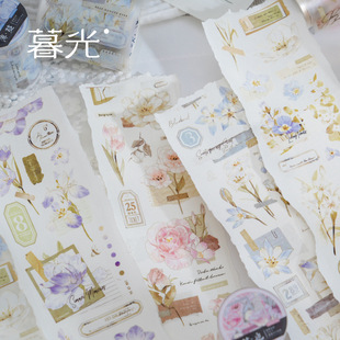 ĺ��PET�����z�� ֲȻ����ϵ�� 4���xֲ���ز�DIY�֎��b��z��