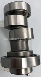 气缸及部件;活塞/活塞环;曲轴、凸轮轴