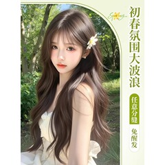 假发女长发假发全头套女仿真自然中分刘海大波浪卷发日常整顶假发