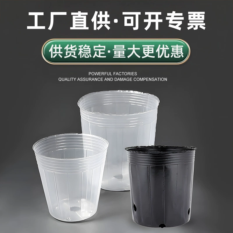 Трансграничный прозрачный фаленопсис питательный стакан черный питательный пакет одноразовый стакан для рассады
