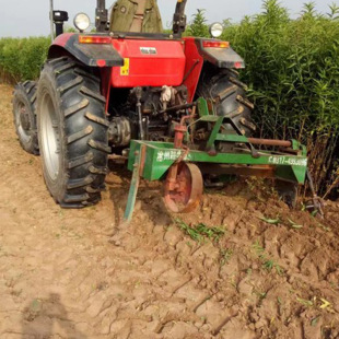 ɽ�|�Ҙ䌍���� 1��ë�Ҙ������l�r�� ���������