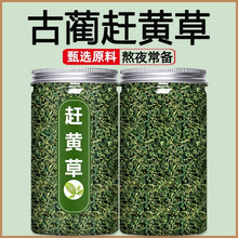 sSĴAϪSݲB100/BβݏSl