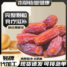���l��؛��Ҭ���SҬ���½��خa���l ɳĮ����S��Ҭ���N�ƴ��ӹ�