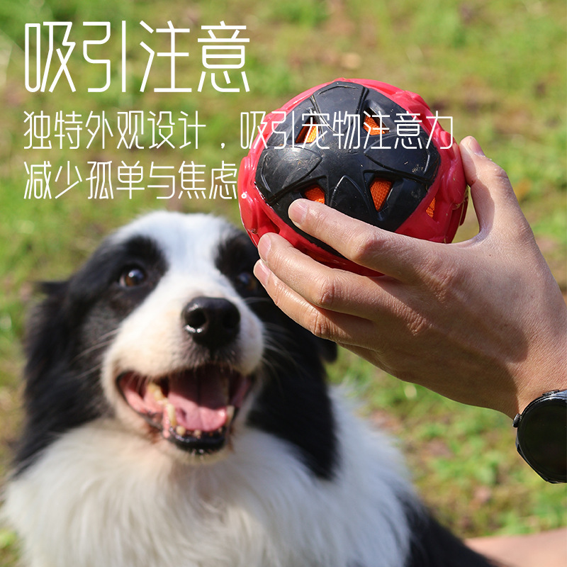 Cross-Border New Product Pet Ball Dog Molar Training Toy Ball Tpr Sound Bite-Resistant Hollow Ball Pet Toy