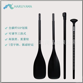 冲浪帆板;桨、舵