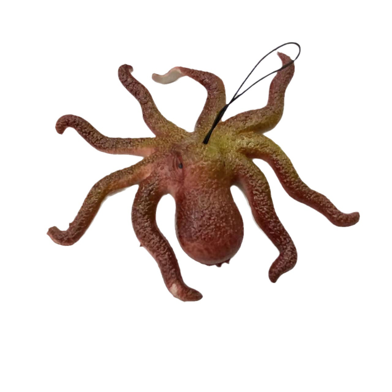 Simulación animal simulación araña lagarto escorpión animal marino truco de miedo descompresión juguete educativo 2 yuanes