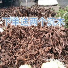 厂家直销厂家直销沉木紫柚木杜鹃根流木虾龟鱼插花素材鱼缸造景微