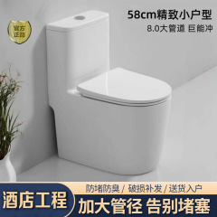 民宿酒店工程小户型马桶坐便器家用虹吸式抽水陶瓷普通马桶卫生间