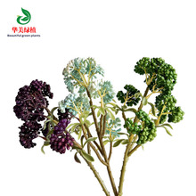 �������˻� �������ֲ�� �Ҿ��b�ƿ�[���廨��� ���z����