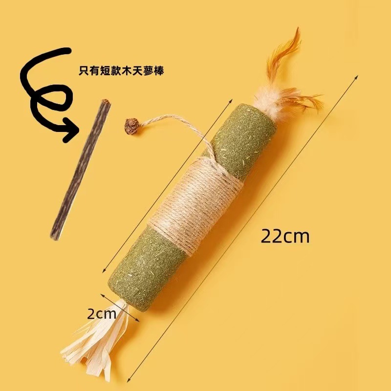 나팔나무 다각형 사진을 찍어보세요