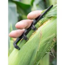 ������Ƥ����һץ�_�����r��ȥ����Ƥ�������͹������l���ǹ���