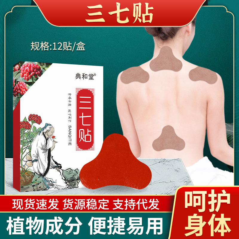 Panax notoginseng patch