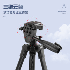 佳釣尼夜釣燈支架釣魚燈專用三腳架台釣燈支撐架三角架萬向燈架