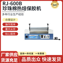 �����ޟ��ۉT�z�CRJ-600B���I�����z�C�L�z�Cepeճ�z�C���ۉT�z�C