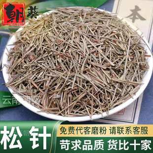 松针中药材精选品质松树针叶散装干货可代磨粉泡水另售谷精草芮仁-阿里巴巴