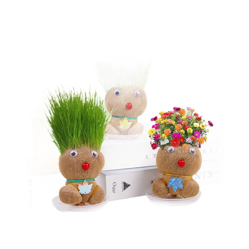 Muñeca de hierba en caja muñeca de hierba dulce muñeca floral verde para niños observación de plantas ornamentos maceta image 6
