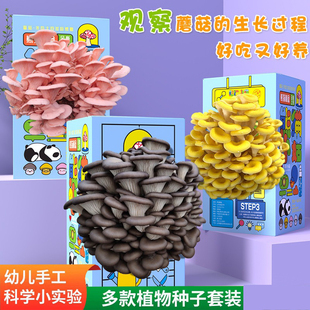 Ģ������С�W��������Nֲ�Ъ���ֲ�彩Ʒ��ͯ�����׃��@�Y��YƷ