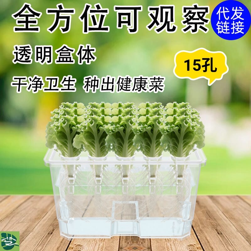 Hydroponic Growing Box, Large Size, for Home Planting, Diverse Sunlight Hydroponic Containers, Indoor Pollution-Free Hydroponic Cultivation