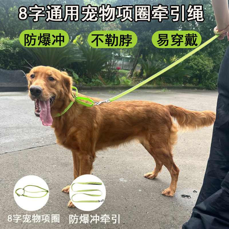 Cuerdas de tracción para perros, cuerdas de tracción alargadas, collares para perros, cuerda para caminar, Teddy de pelo dorado para mascotas, cadenas de perros grandes y medianos