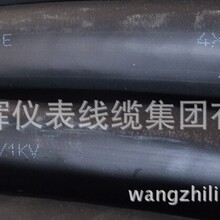 WDZAN-YJE�͟��o�u��|�͟����u�����|