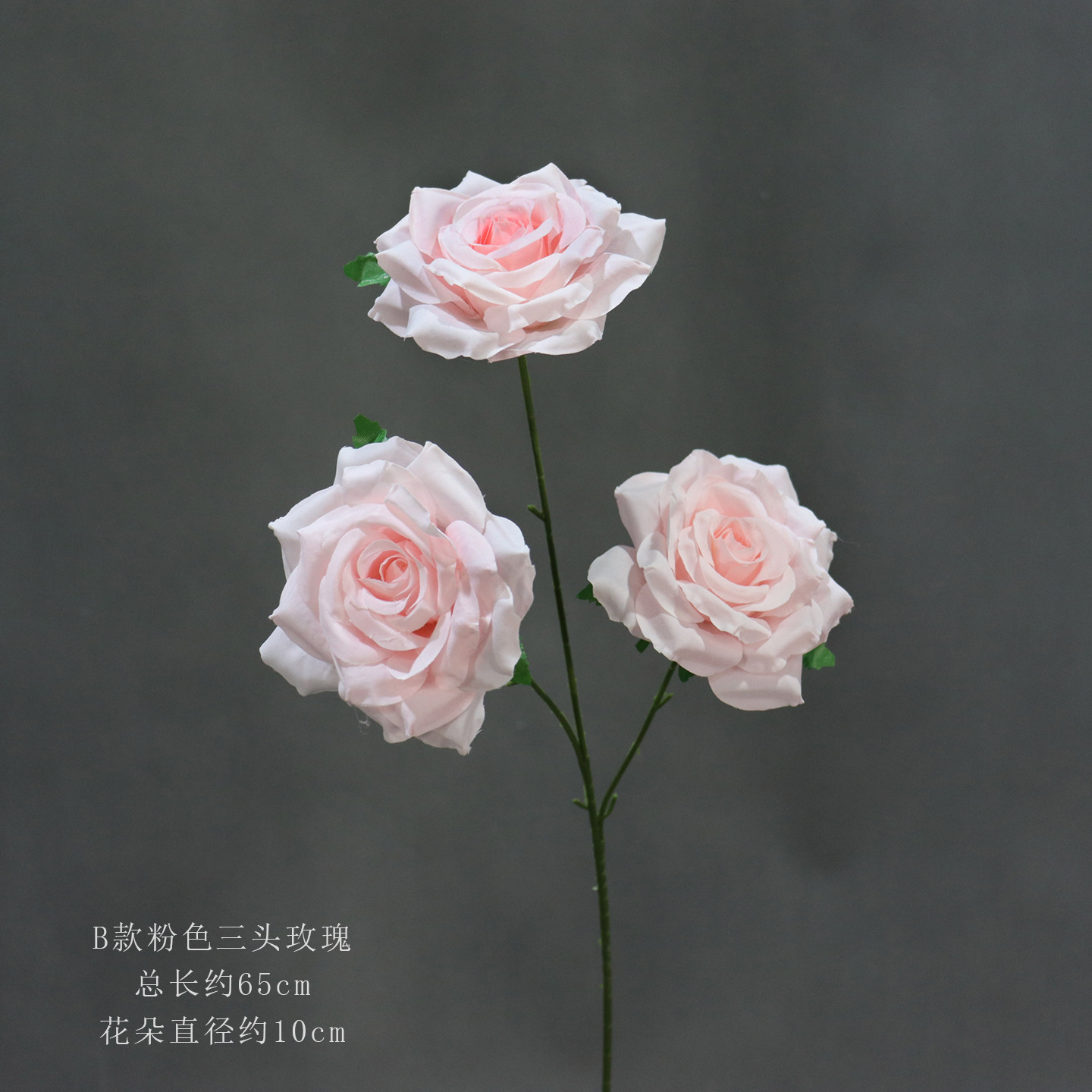 B 핑크 세 머리 로즈
