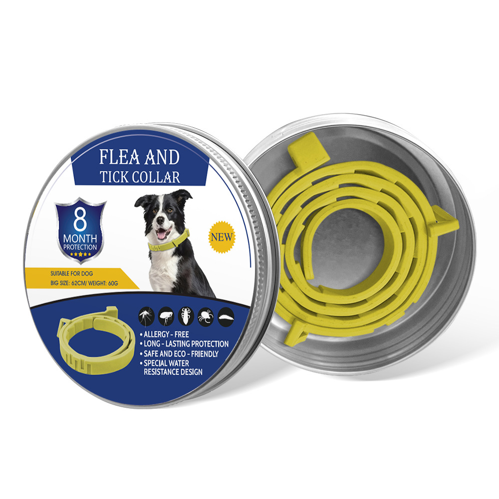 노란색 강아지 디자인 선물 세트