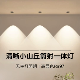 吸顶灯;吊灯;风扇灯