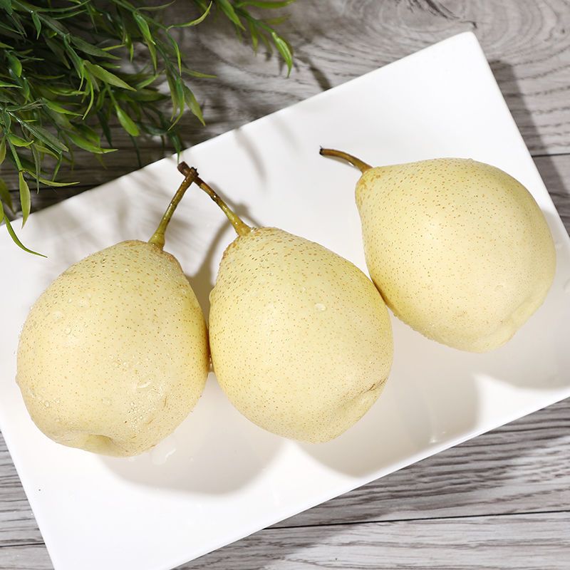 [순중량 1.5kg 배] 작은 과일의 맛은 일반적으로 권장되지 않습니다