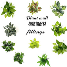 �S��ֱ�N���沨˹��ֲ��b��f����G�}С�ѹ����b�������Gֲ