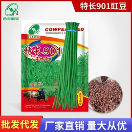 蔬菜种子;营养液;粮食作物种子