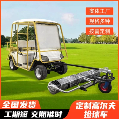 Electric Golf Ball Retriever Cart for Golf Courses, 2-Seater Golf Cart, Electric Golf Cart
