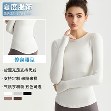 �Ķ������@���٤���������ٸɽ������߼����\�����e���ߏ��٤��