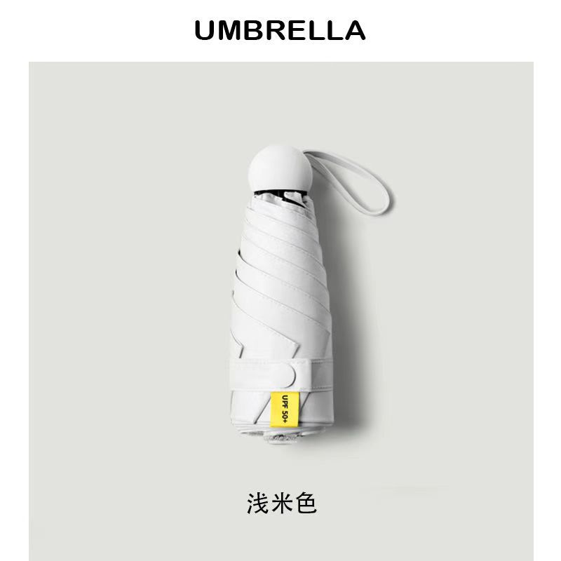 6개 뼈 50% 할인 - 문라이트 화이트 [완전 암막]