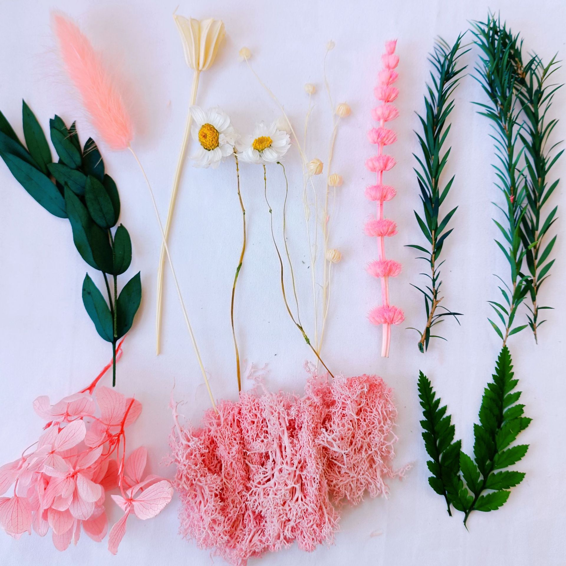 Festival bricolaje hecho a mano material de flor eterna planta flor seca florero flotante aromaterapia flor seca abanico de material paquete al por mayor