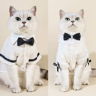 Cross-border new pet lovers dog suit coat cat wedding sand skirt pet clothing supplies spot