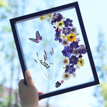�β۸ɻ�����p�Ӳ������w�p��˱�diy�ֹ������־����[̨���