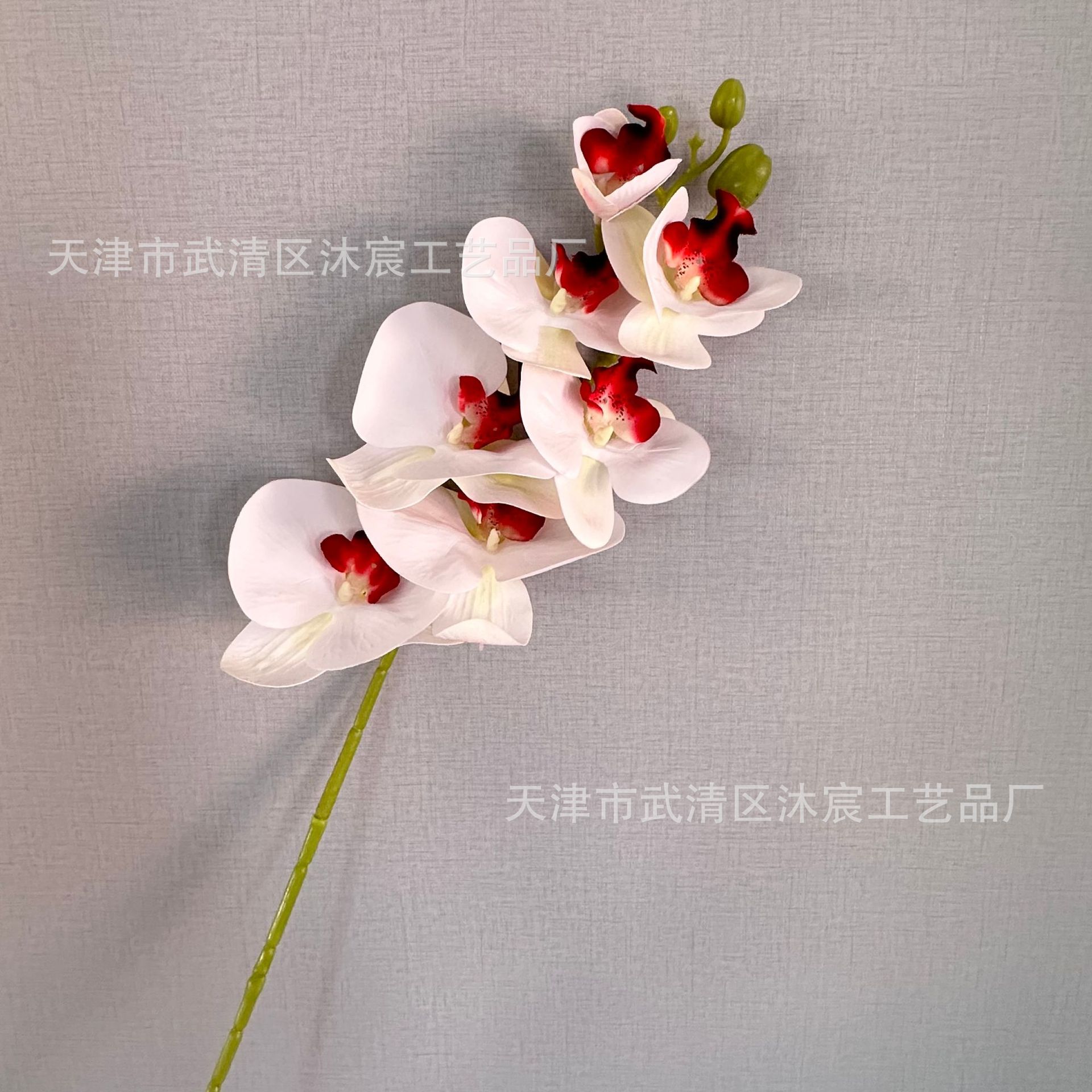 3D 7-cabeza Phalaenopsis mano-sensación de película Phalaenopsis venta al por mayor boda hogar decoración floral tiro flor material