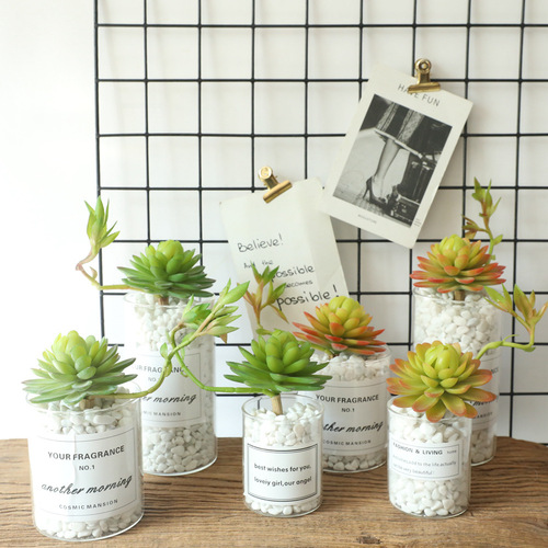 Home decoration flower water lily succulent plant manufacturer artificial flower wedding flower wall plant wall artificial flower MW17693