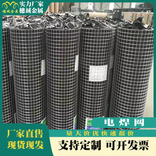 工厂实体外贸订单 热镀锌电焊网 冷镀锌电焊网 PVC浸塑电焊网