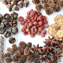 ~׃@diyɹľƬbMϸɻ}Qb[ɹ͹ŵ