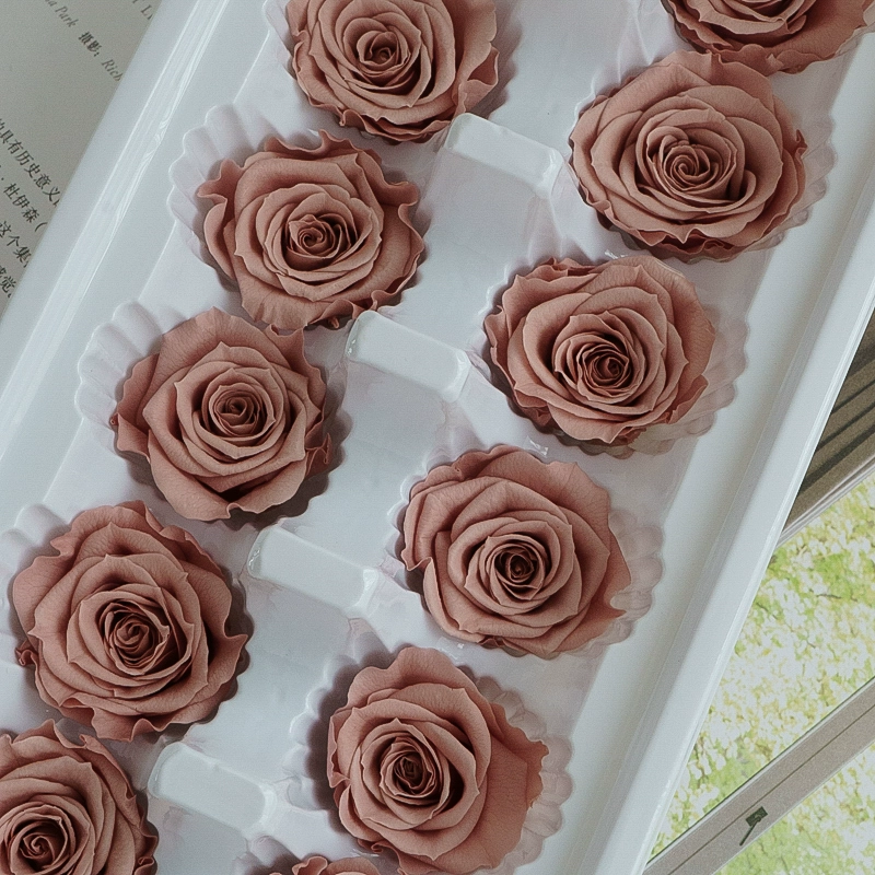 Eternal Rose head A -Class/B -Class Cabca Shengsheng Flower Handmade DIY Teacher's Day Gift Materials