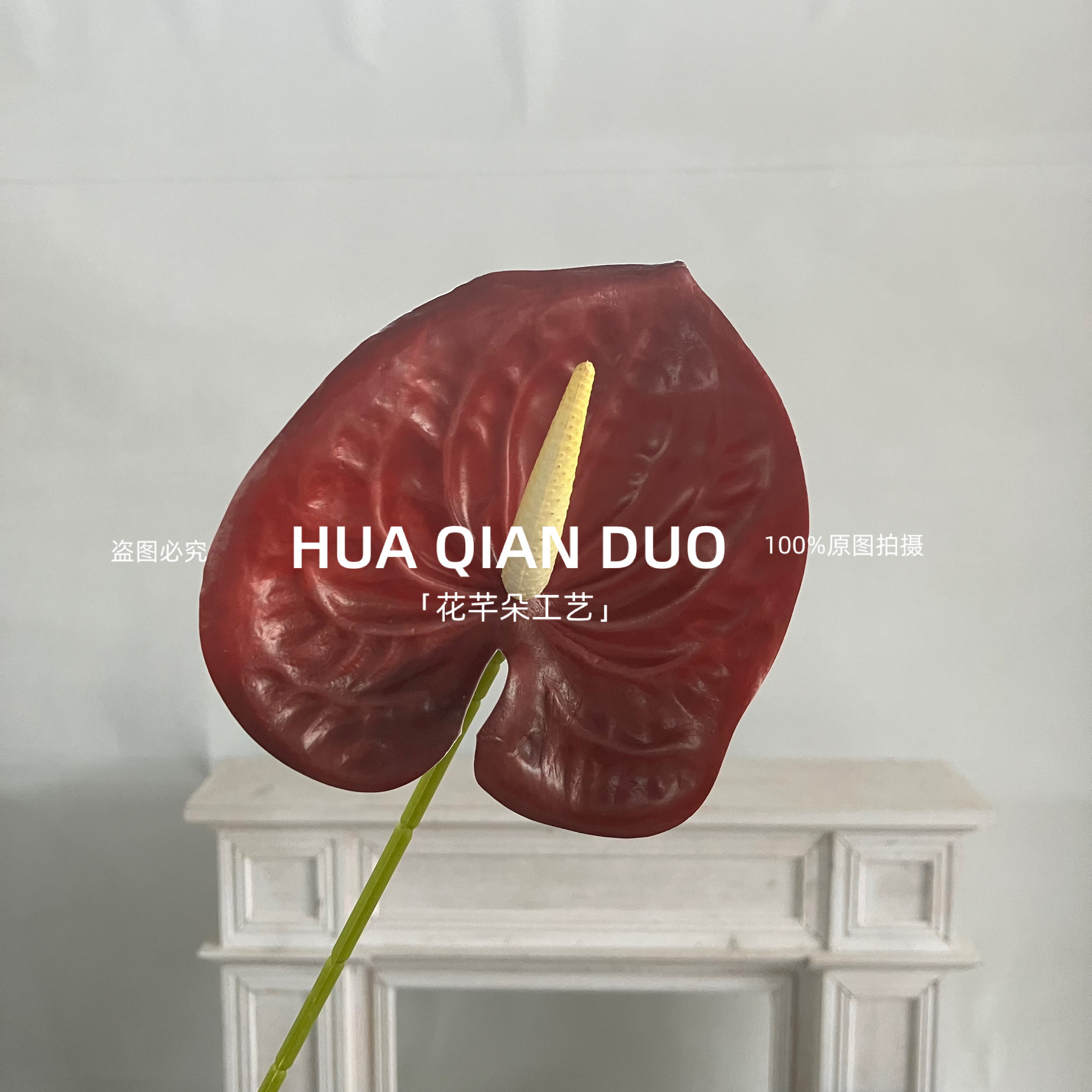 안 투리 움 안드 라우 리움