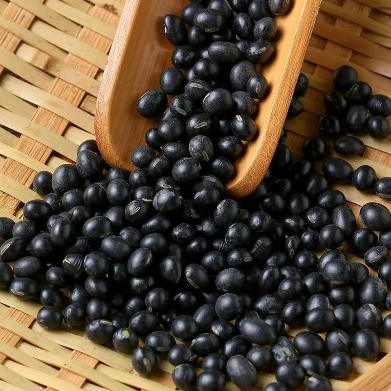 东北新黑豆绿心农家自产黑豆绿色食用粗粮五谷杂粮豆|undefined