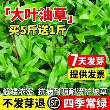 ~ͲݷNӴ~Ͳݲo´~ͲļѰݷN