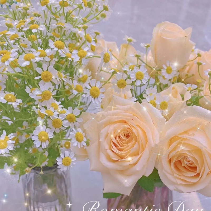 玫瑰花鲜花云南昆明基地批直发百合向日葵红豆家用鲜切水养插|undefined