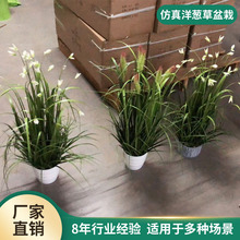 羳JȔԷֲҾ쾰bkҷGֲ辰