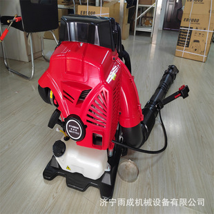 Backpack Greenhouse Snow Blower Road Sweeper Gasoline Two-Stroke Hair Dryer 9900 Wind Extinguisher