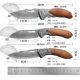 Multi-use folding knife Damascus steel fruit knife paring knife meat easy to carry knife factory in stock