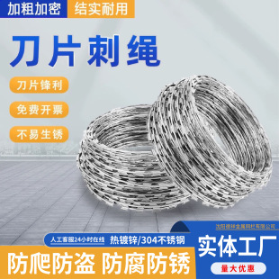 Prison and Detention Center Barbed Wire Airport Perimeter Wall Anti-Theft Anti-Climb Anti-Rust Hot-Dip Galvanized Stainless Steel Roll Cage Blade