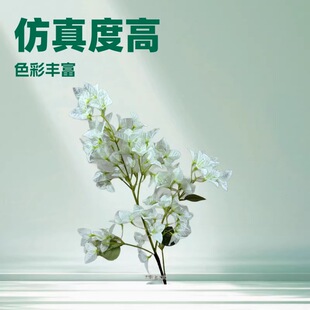 ��֦����÷���滨��Y�b��Ƶ��b���ܛ�b�ٻ������ɻ�����@ˇ